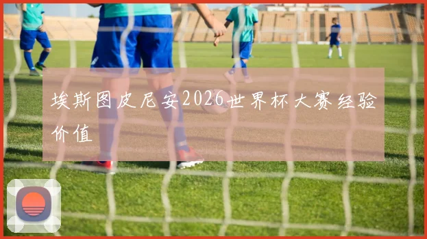 埃斯图皮尼安2026世界杯大赛经验价值