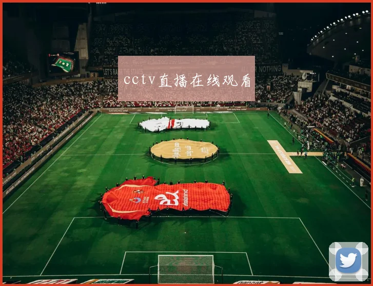cctv直播在线观看