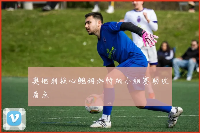 奥地利核心鲍姆加特纳小组赛助攻看点