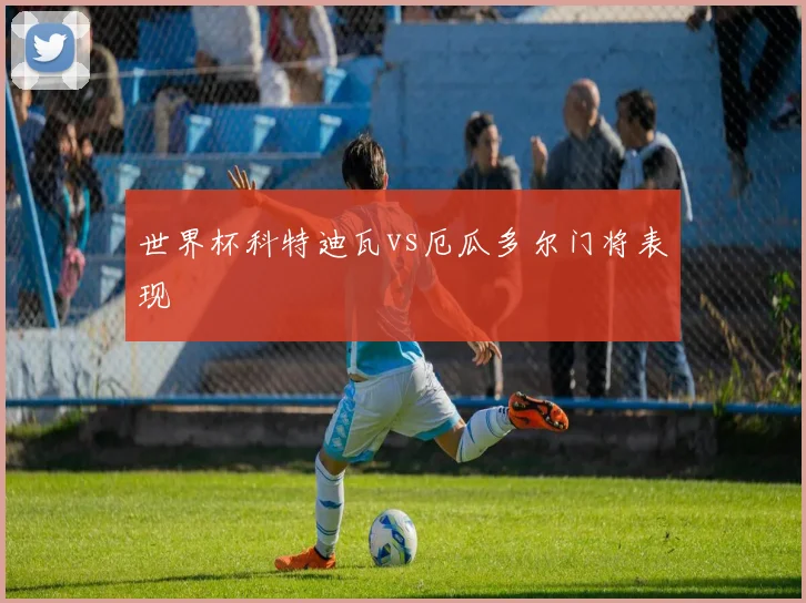 世界杯科特迪瓦vs厄瓜多尔门将表现