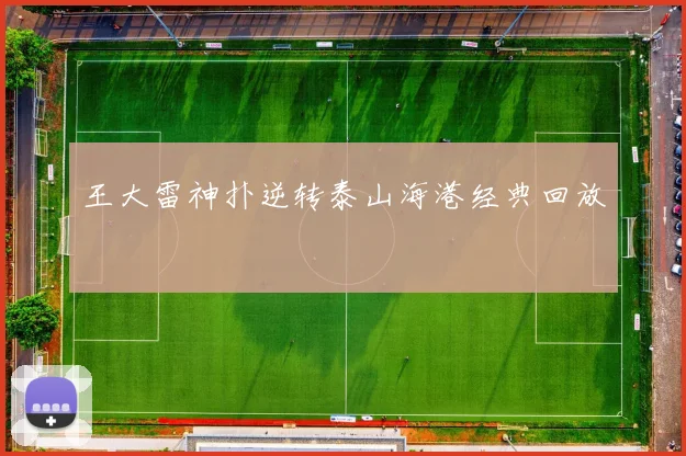 王大雷神扑逆转泰山海港经典回放