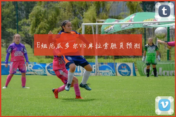 E组厄瓜多尔vs库拉索胜负预测