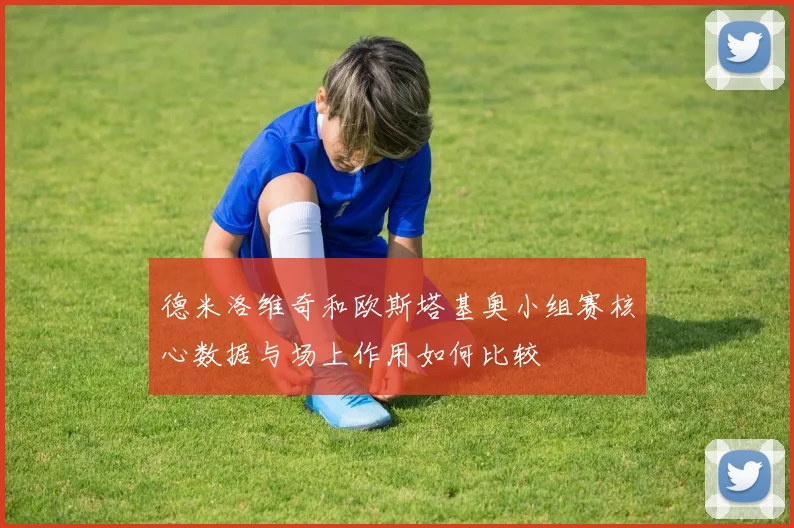 德米洛维奇和欧斯塔基奥小组赛核心数据与场上作用如何比较