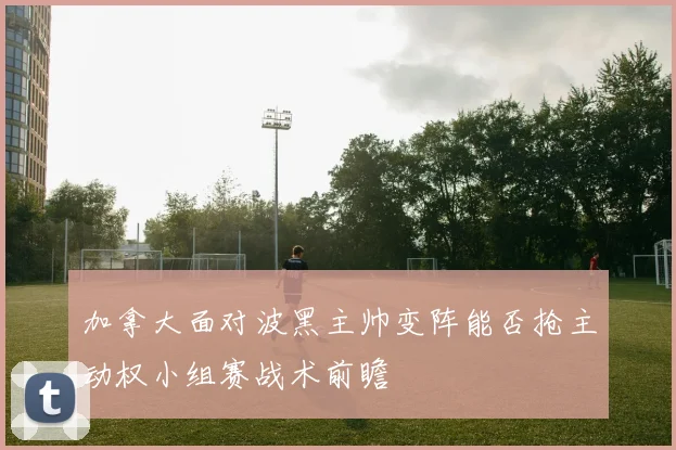 加拿大面对波黑主帅变阵能否抢主动权小组赛战术前瞻