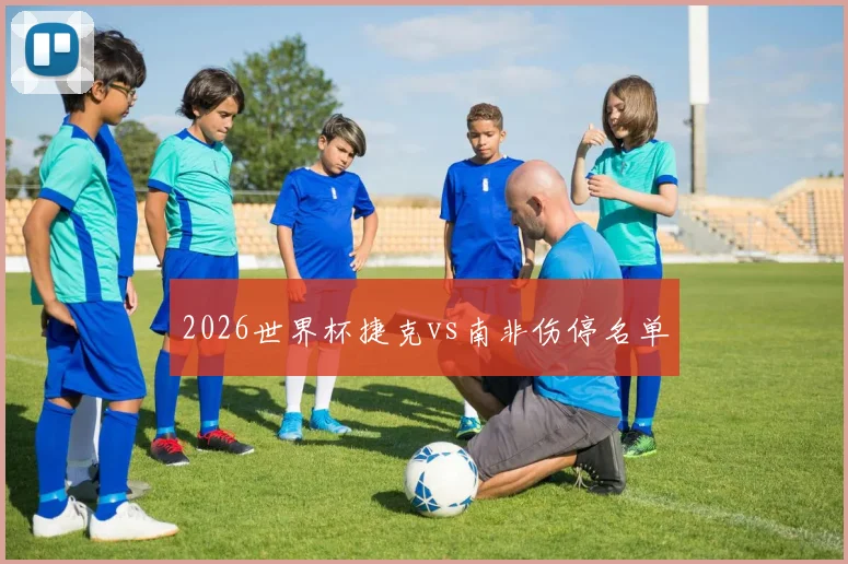 2026世界杯捷克vs南非伤停名单