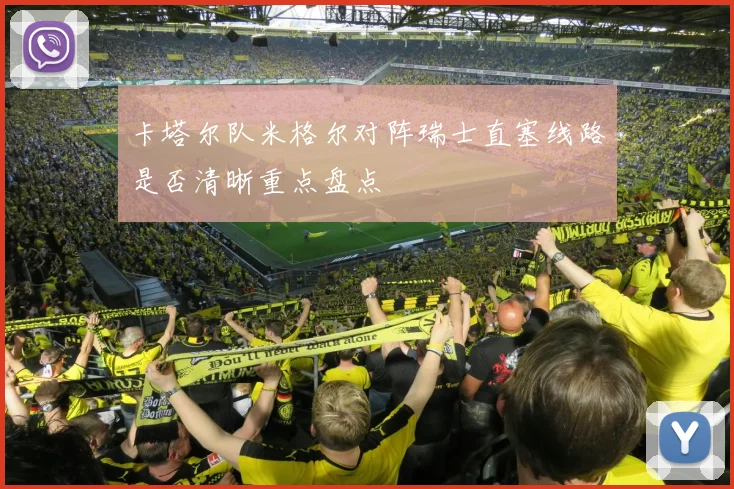卡塔尔队米格尔对阵瑞士直塞线路是否清晰重点盘点