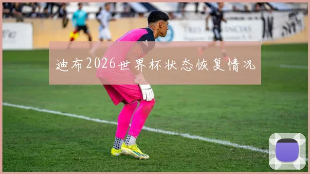 迪布2026世界杯状态恢复情况